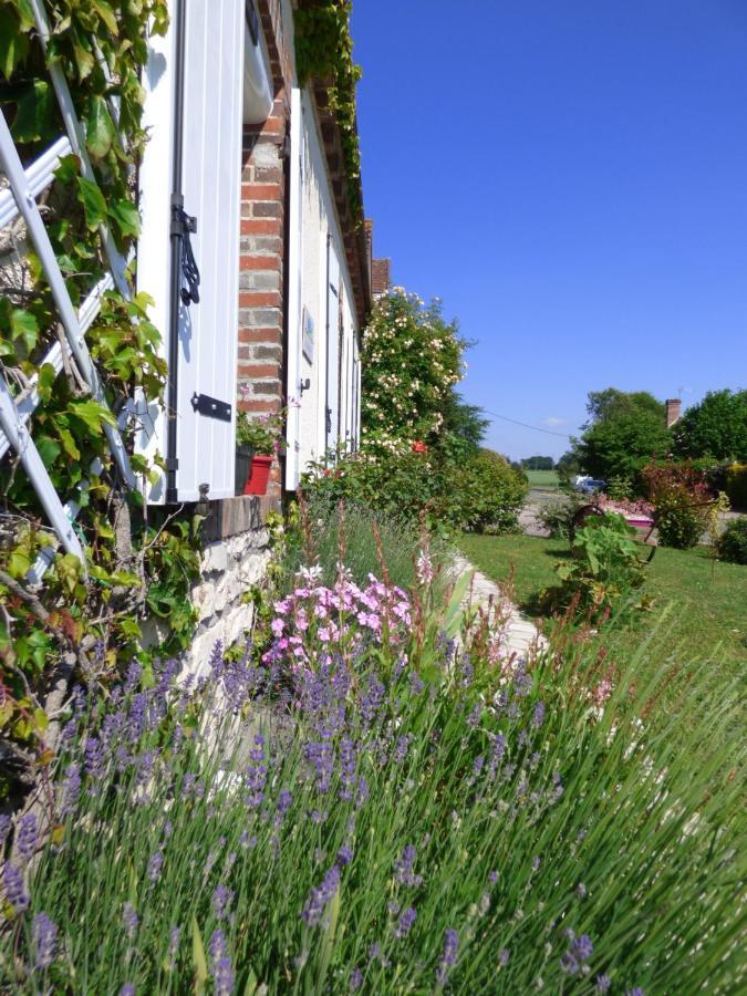 Chambres D'Hotes Les Muscaris Feins-en-Gatinais Exterior foto
